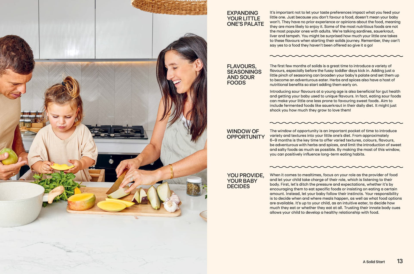 Baby Food Bible By Julia Tellidis & Lauren Skora