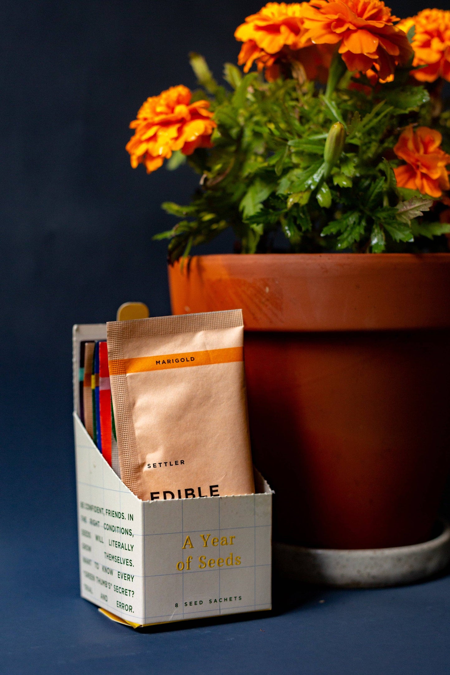 A Year of Seeds Set of 8