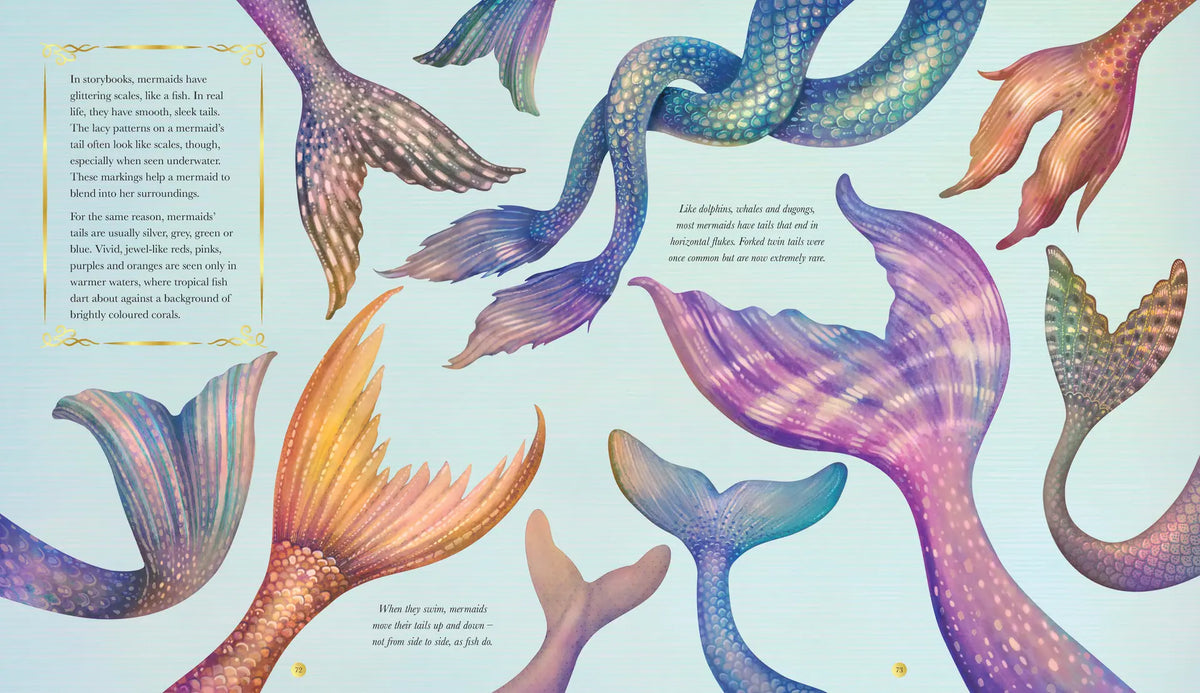 All About Magical Creatures By Izzy Quinn