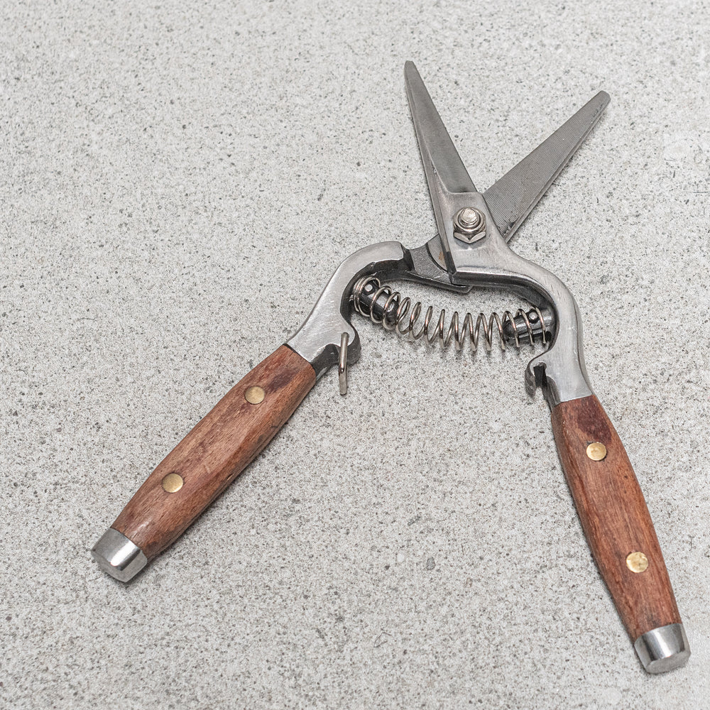 Flower Snips