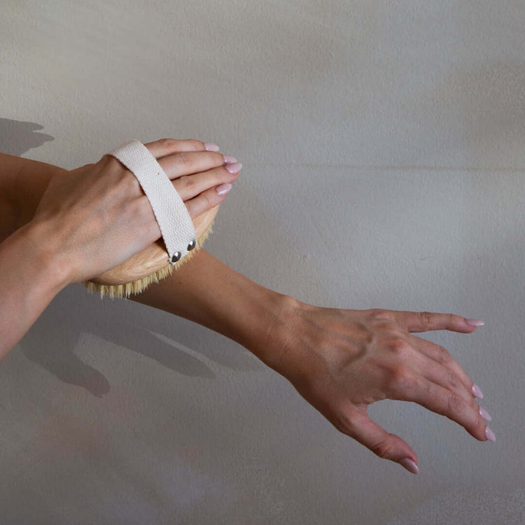 Dry Body Brush