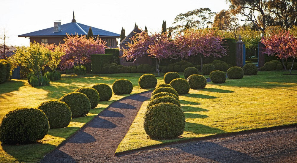 Paul Bangay's Country Gardens By Paul Bangay