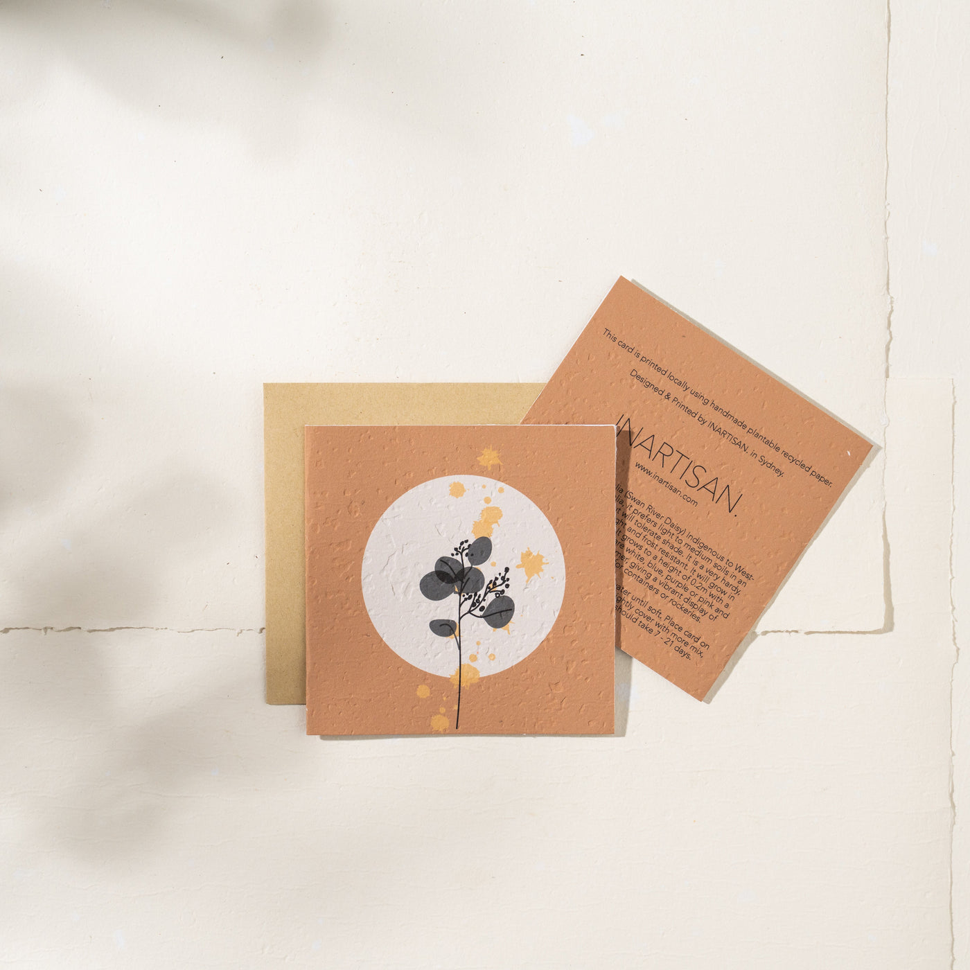 Plantable Card - Silver Dollar