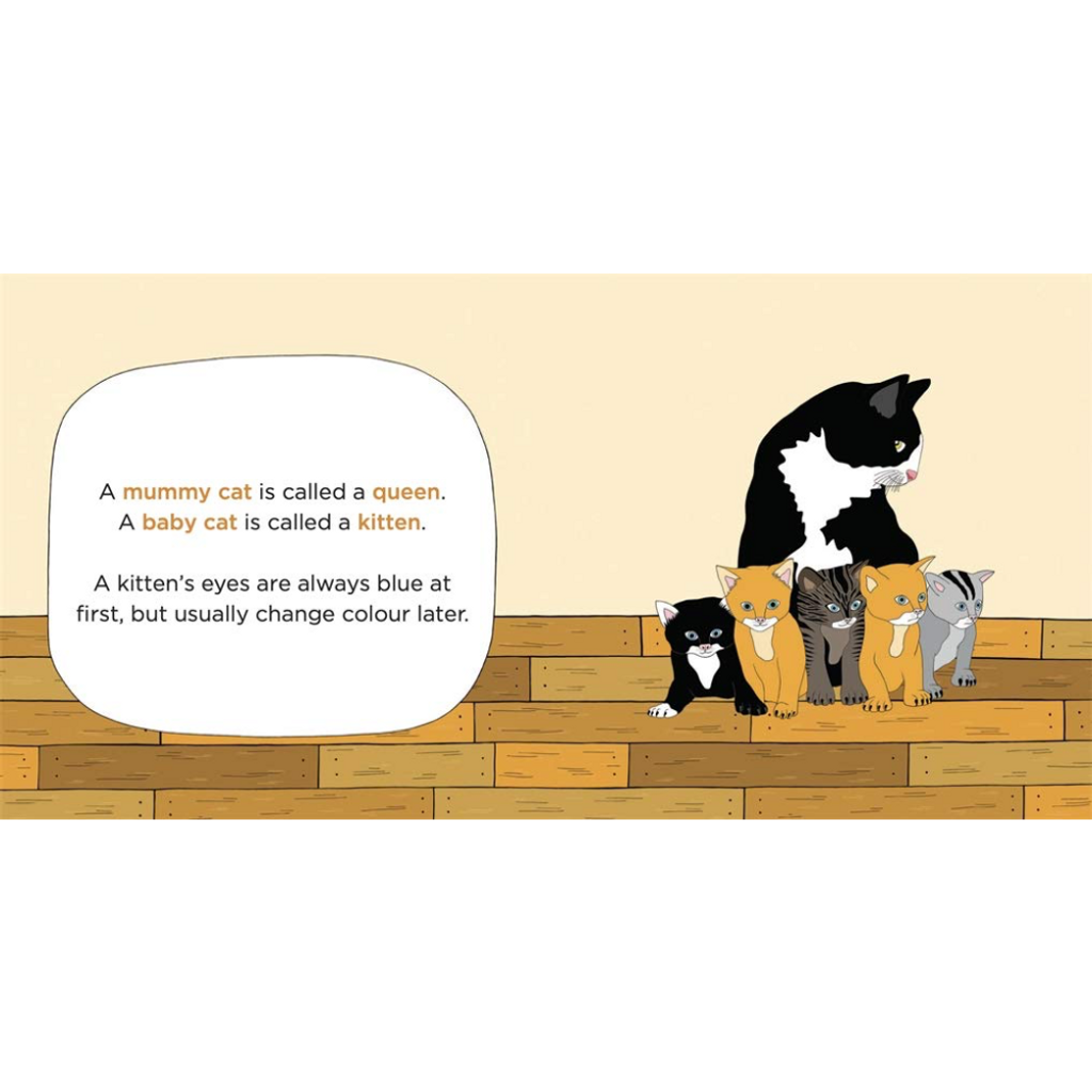 Mummy Animal Book - Jennifer Cossins