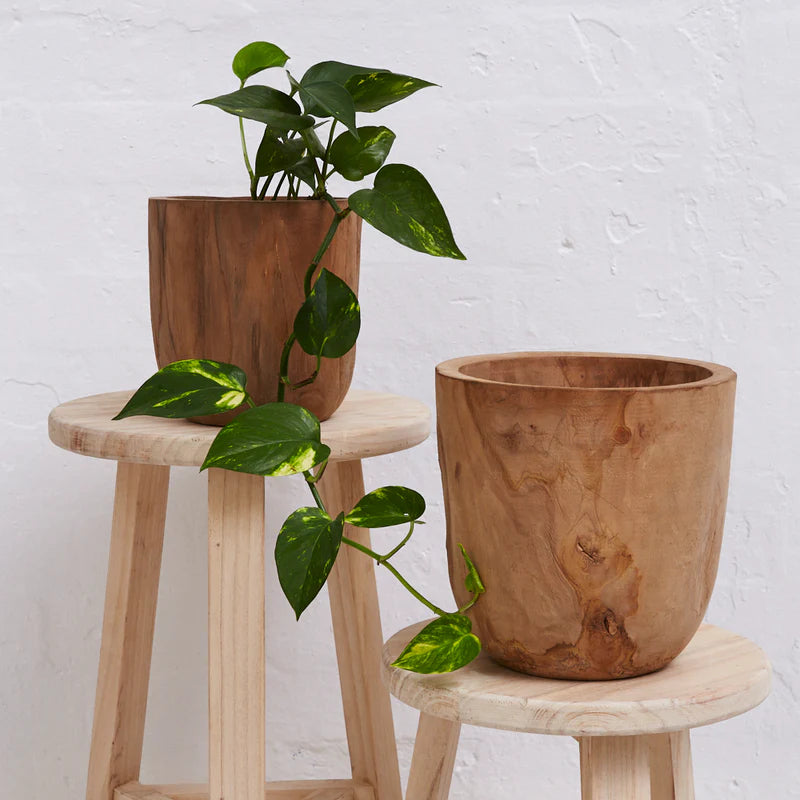 Iniko Tree Root Planter