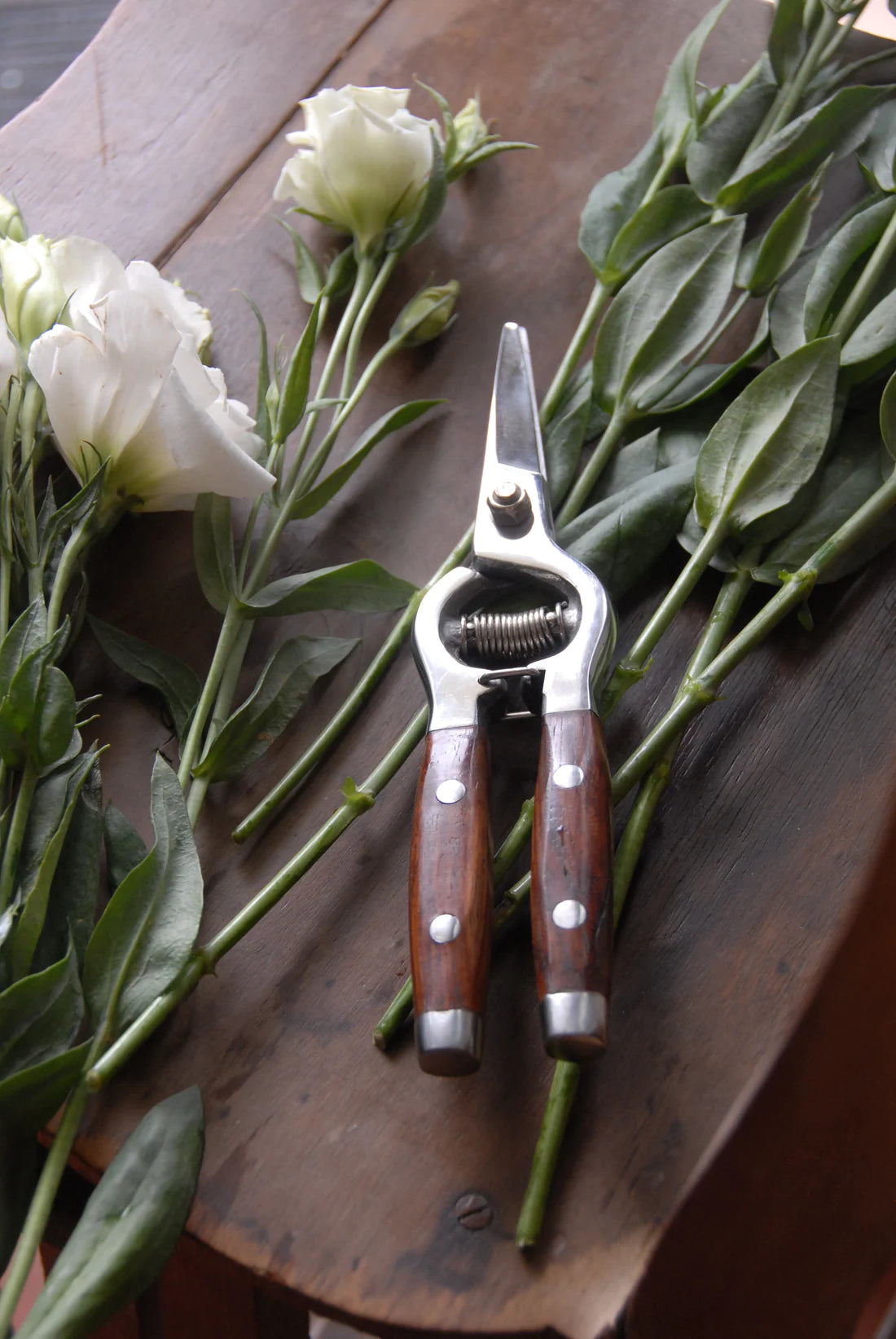 Flower Snips