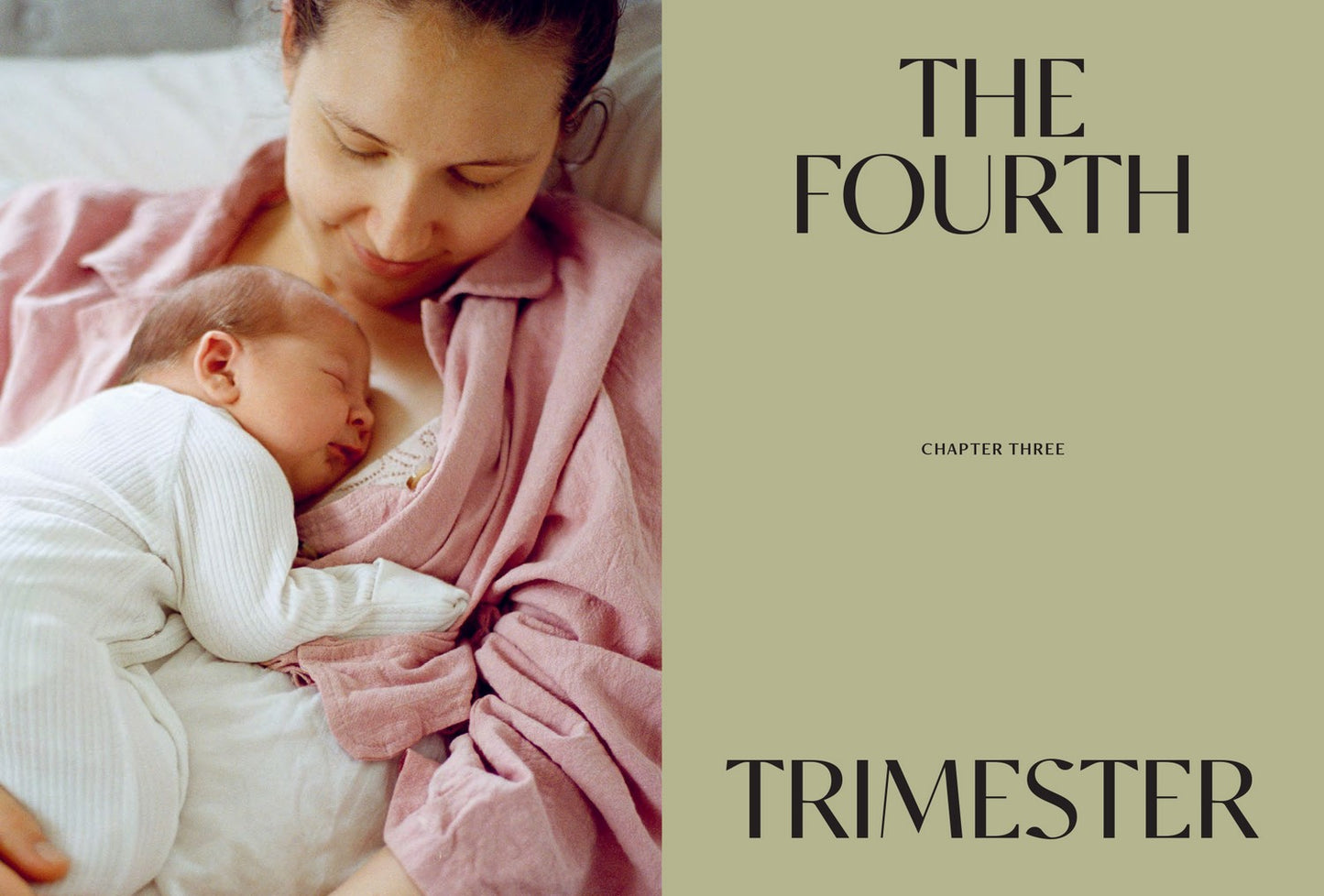 Life After Birth By Jessica Prescott