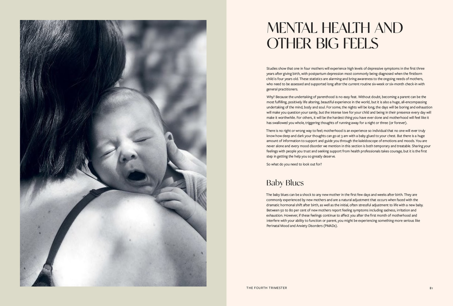 Life After Birth By Jessica Prescott