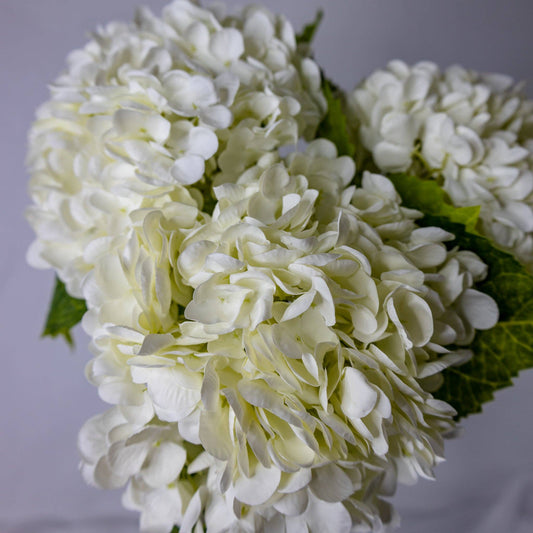 White Hydragea Real Touch