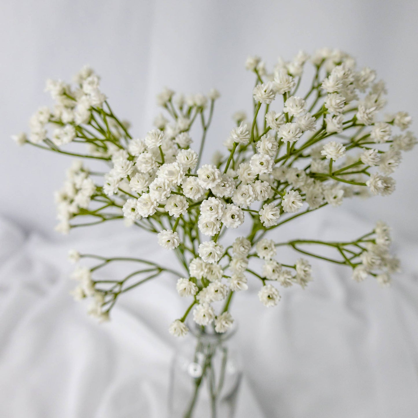 Baby's Breath (Gypsophila)- Realistic Artificial Flowers: Single Stem