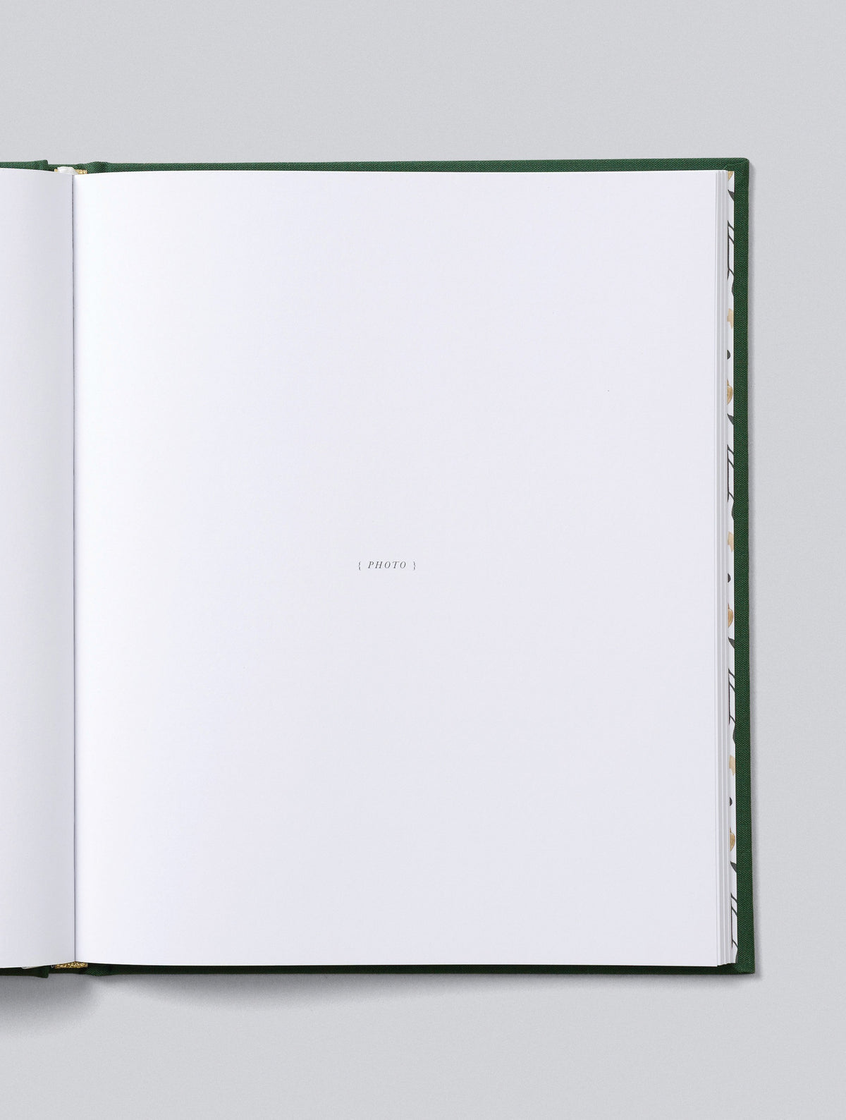 Family Christmas Book | Green