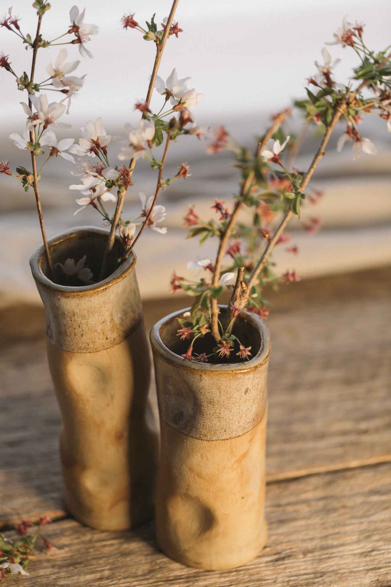 Organic Wild Clay Vase 2