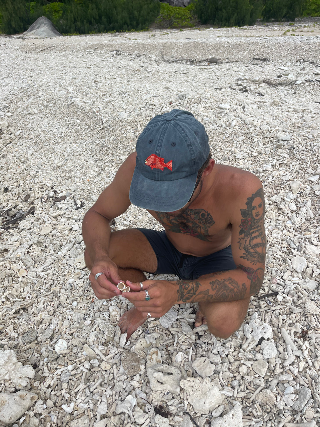 Red Emperor Fish Lid