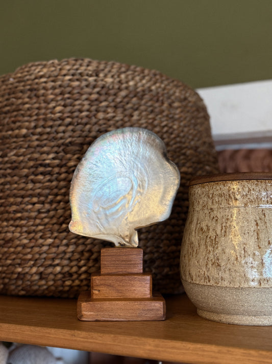 Pearl Shell Mounted on Blackwood