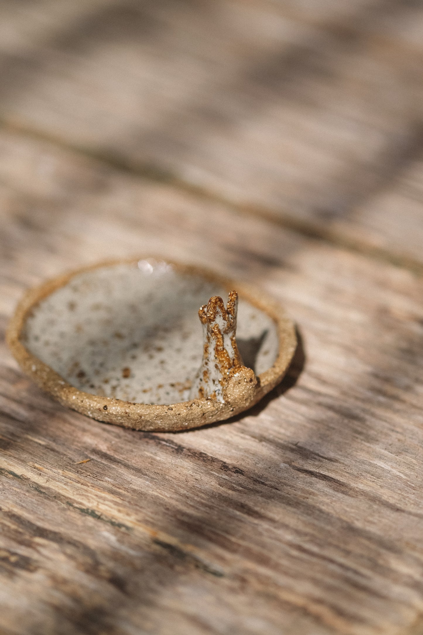 Creatures Trinket Dish