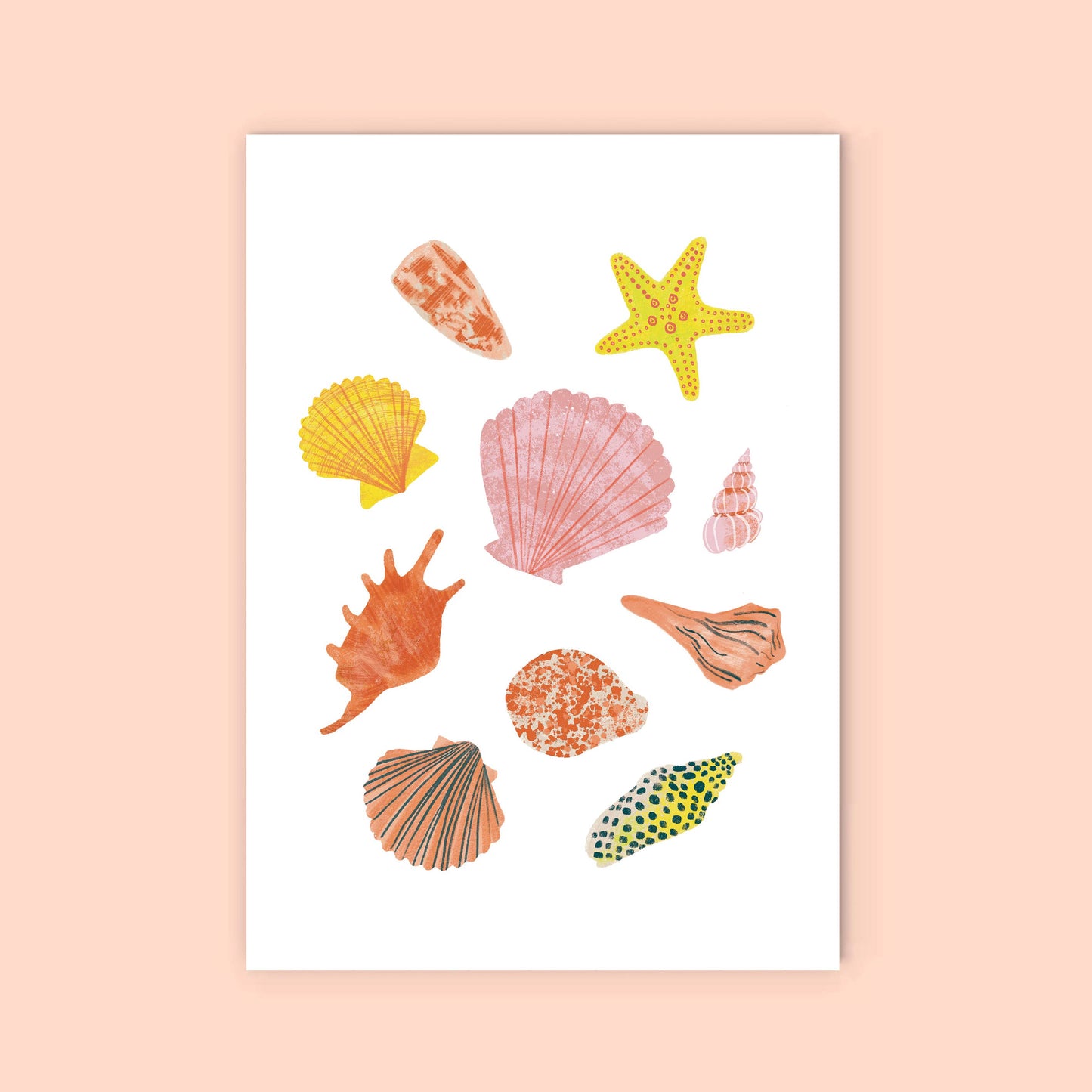 Seashells Greeting Card - Illustrated Shells Card | Beach