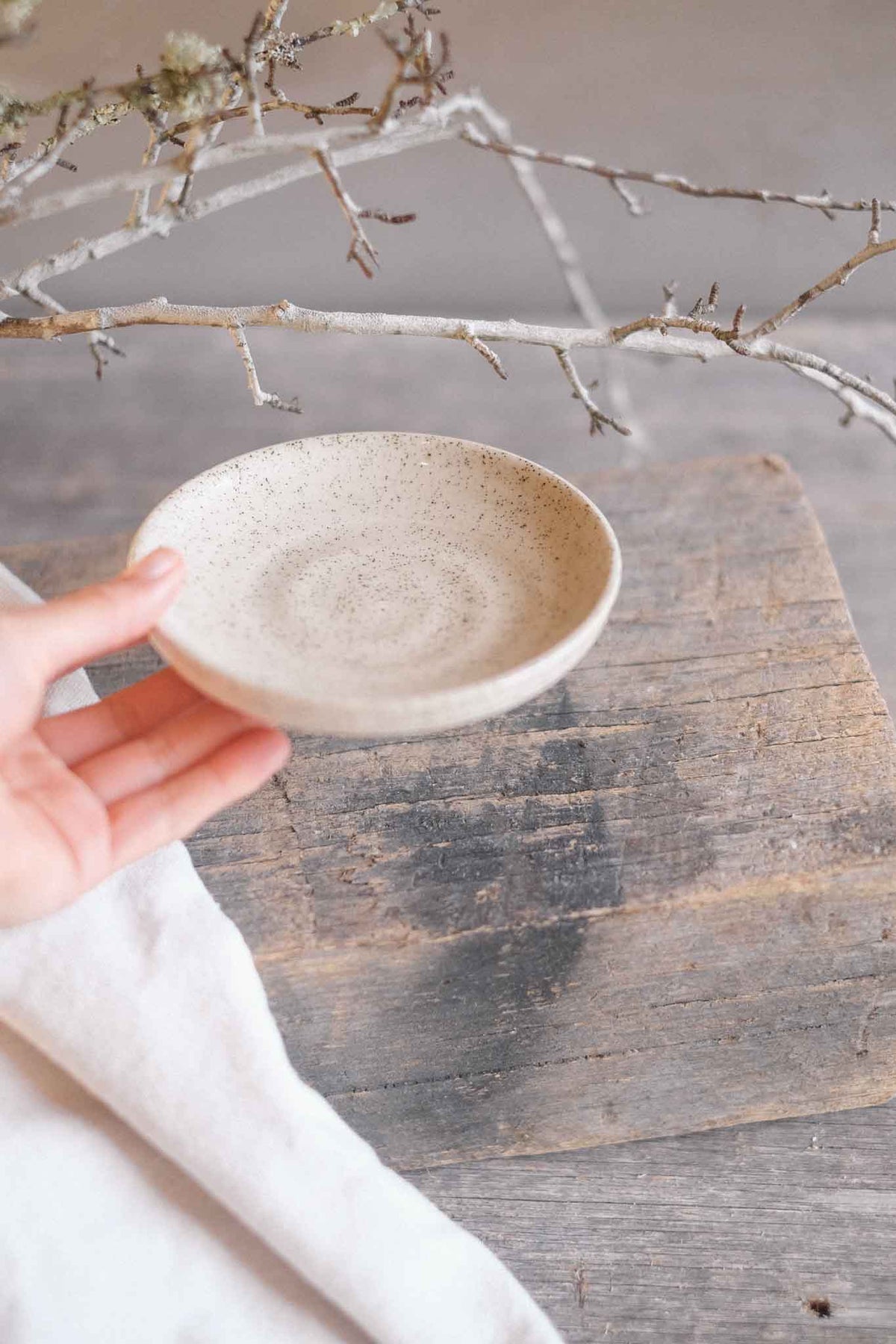 Dipping Plate