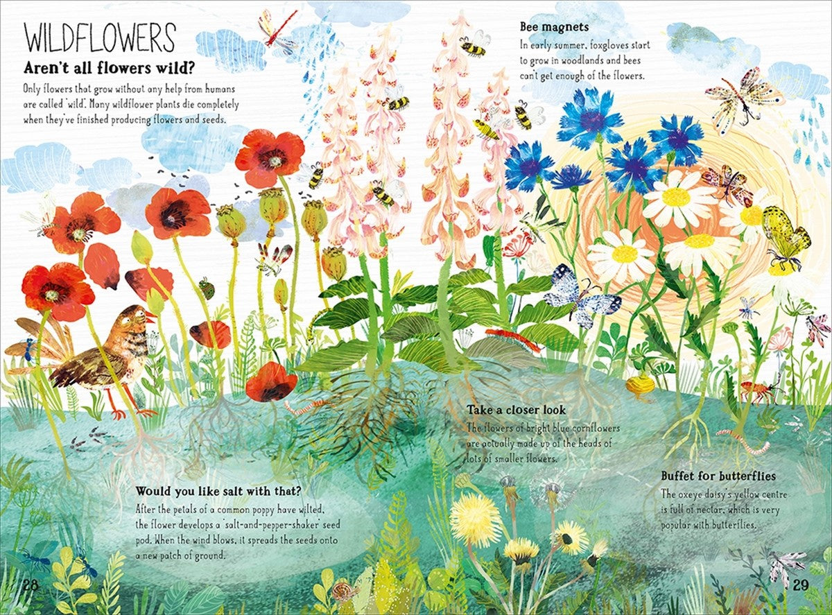 The Big Book of Blooms By Yuval Zommer