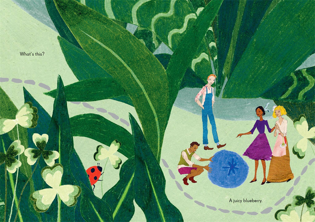 The Tiny Explorers By: Kat Macleod