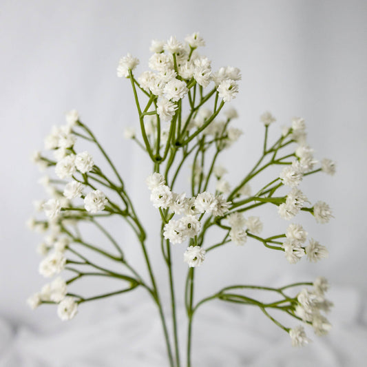 Baby's Breath (Gypsophila)- Realistic Artificial Flowers: Single Stem
