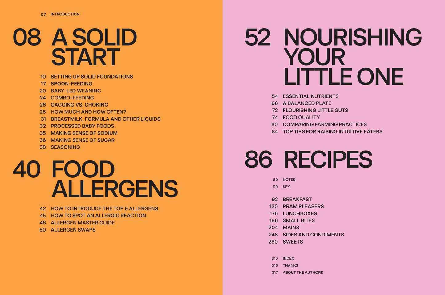 Baby Food Bible By Julia Tellidis & Lauren Skora