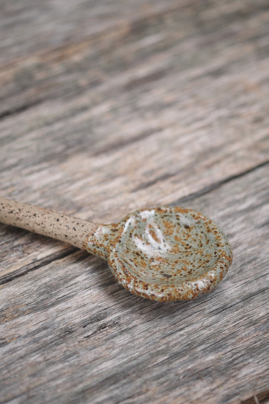 Condiment/Decorative Spoon | Medium-Wide