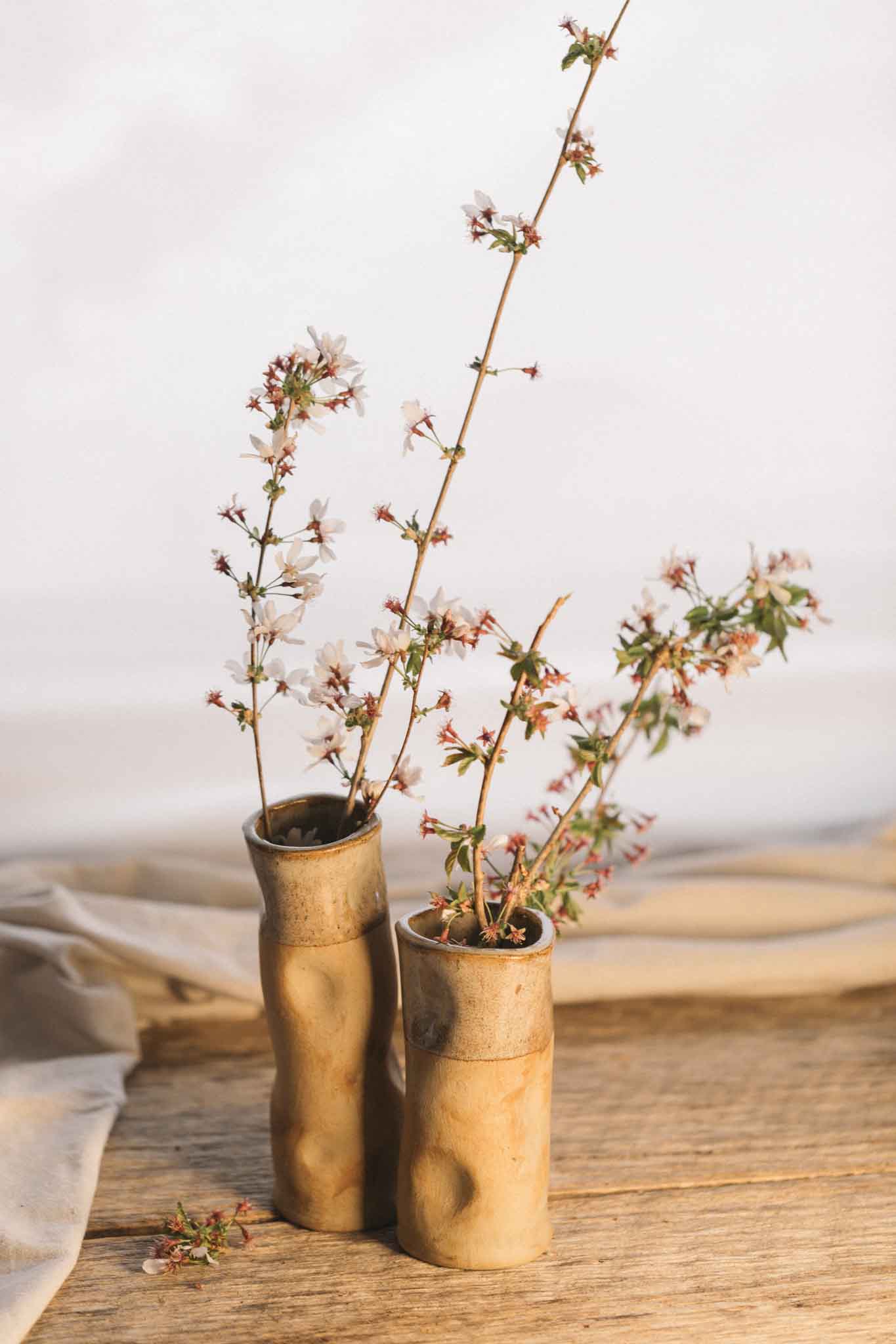 Organic Wild Clay Vase 2