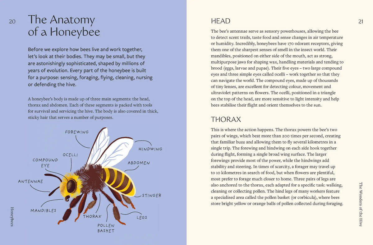 Honeybees By Mary Trumble & Henry Fried