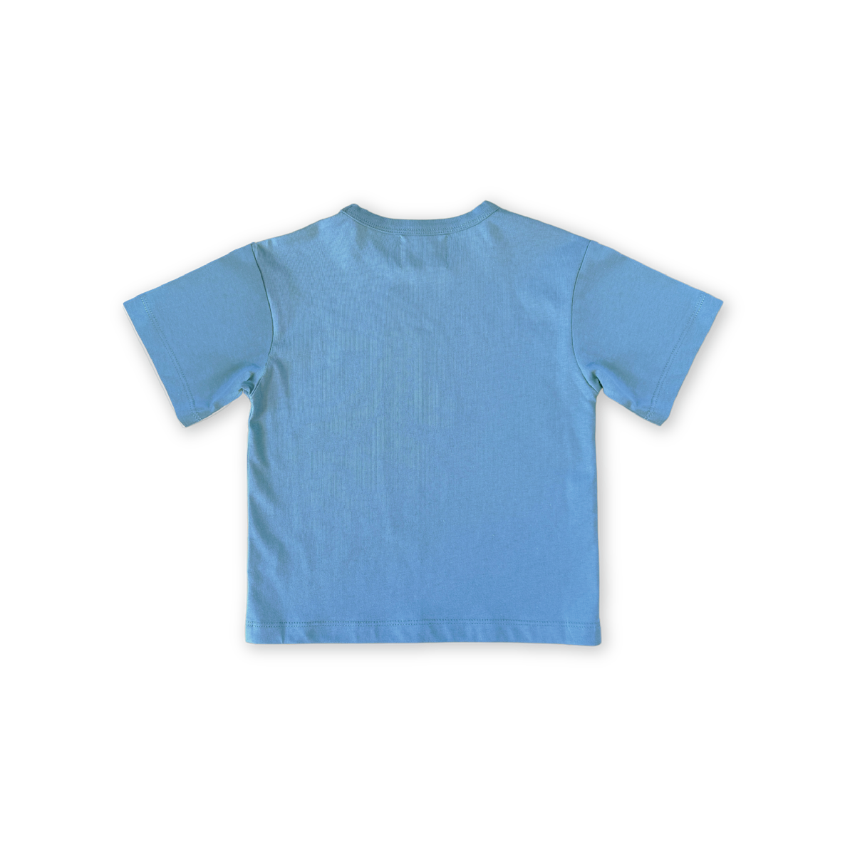 Organic Almost Grown Tee - Duck Egg