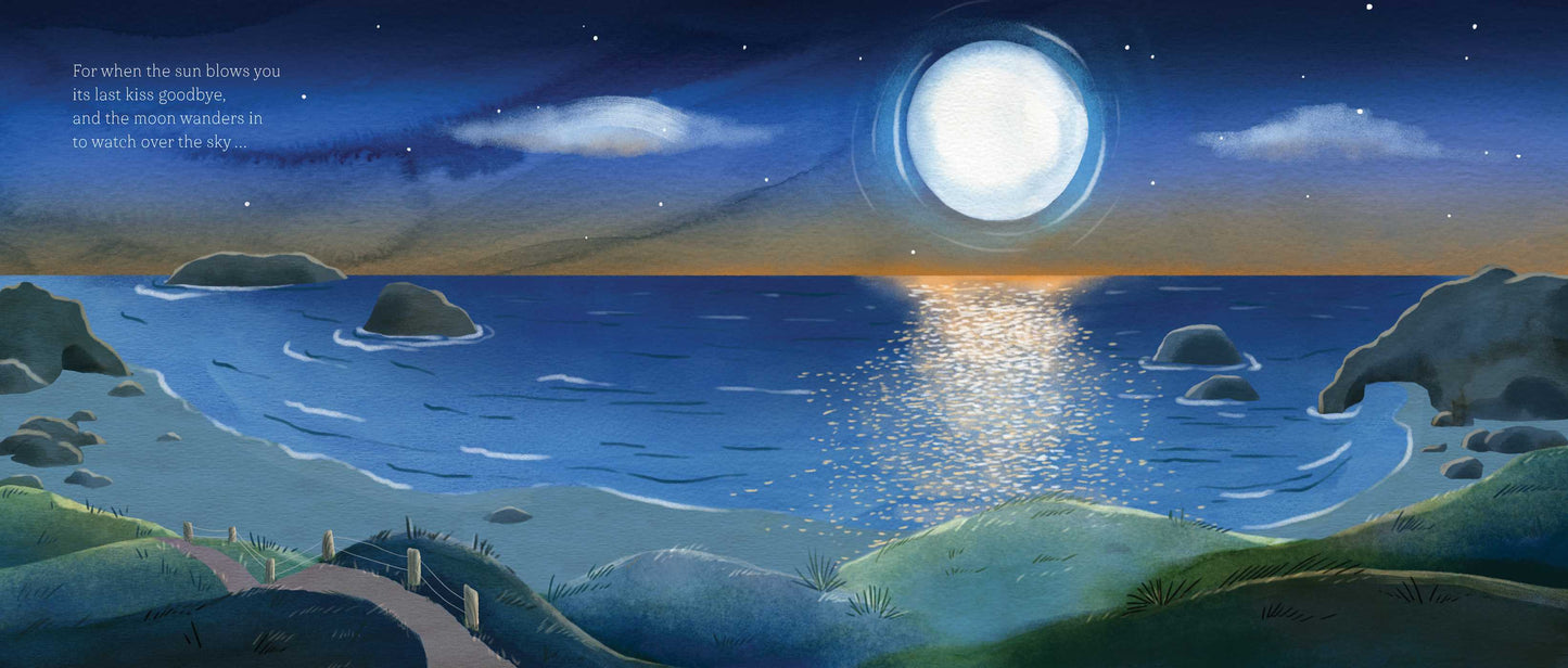 Fairy Beach By: Sheila Knaggs, Jennifer Falkner (Illustrator)