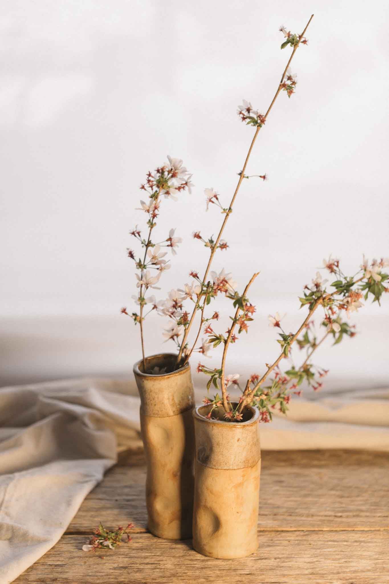 Organic Wild Clay Vase 2