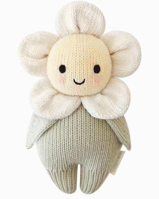 Baby Daisy (Ivory)