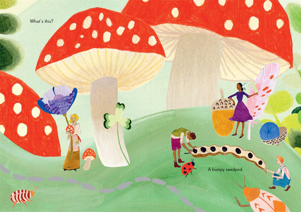 The Tiny Explorers By: Kat Macleod