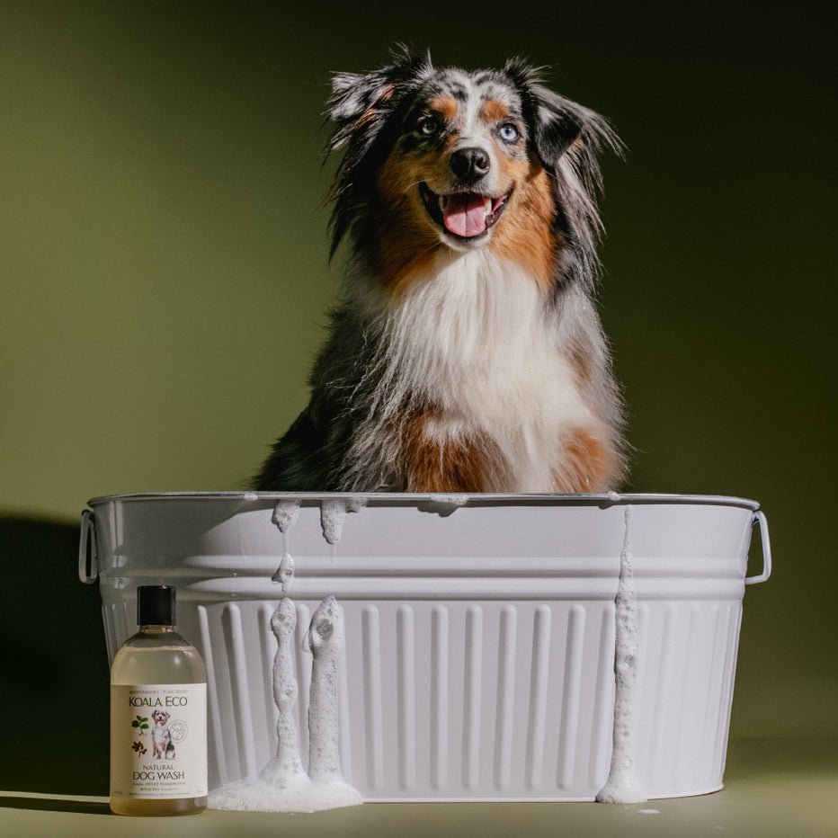 Natural Dog Wash | 500ml | Sweet Marjoram, Rosalina Essential Oil