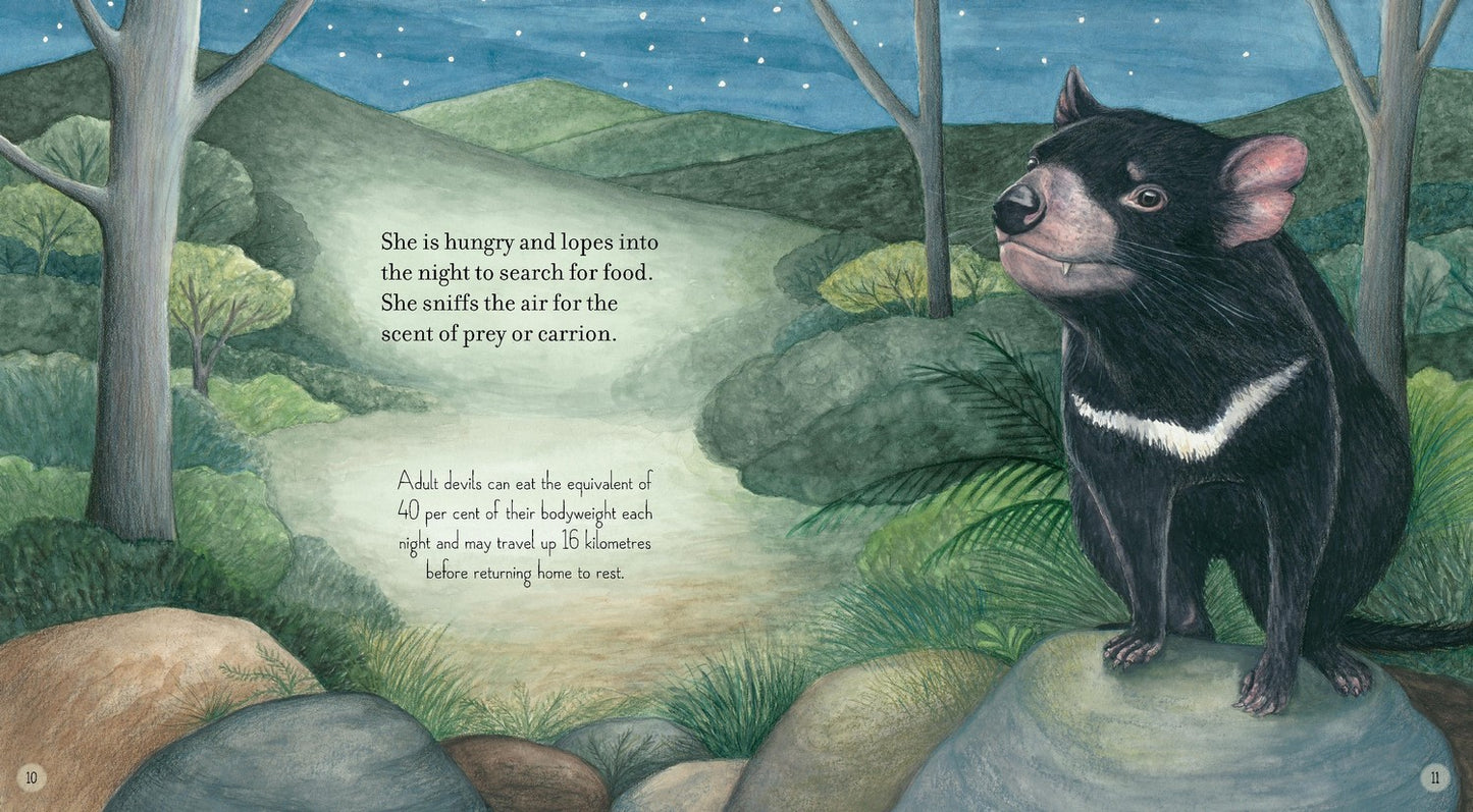 Tasmanian Devil By Claire Saxby (Paperback)