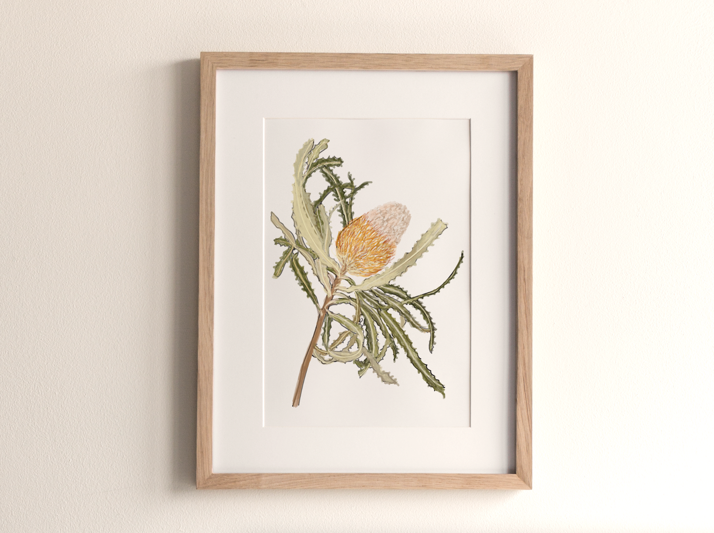 Banksia in Bloom - Fine Art Print