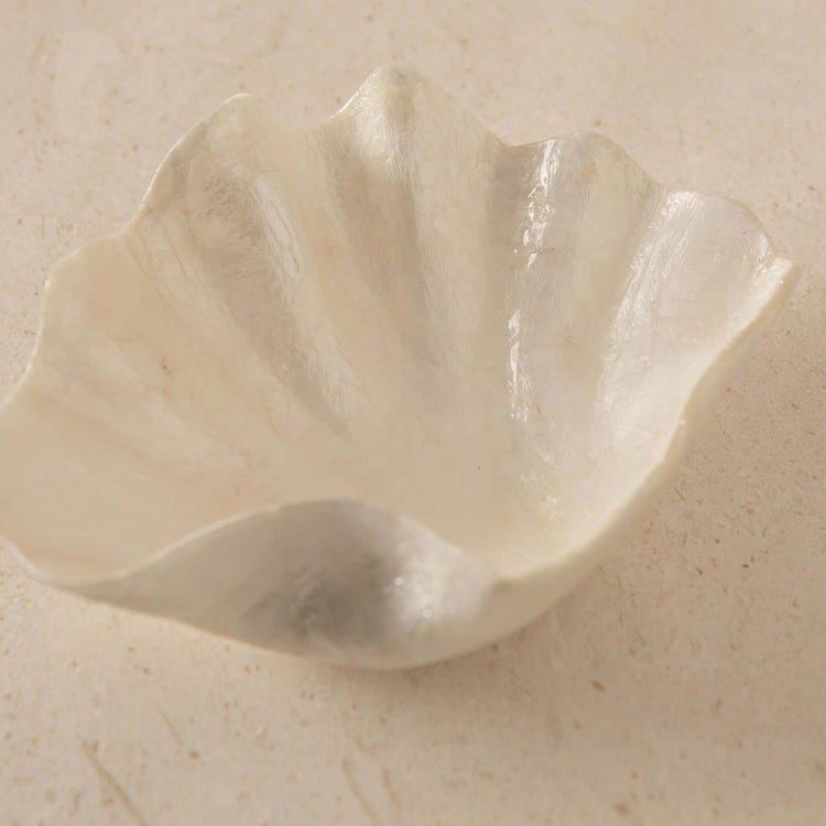 Clam Dish