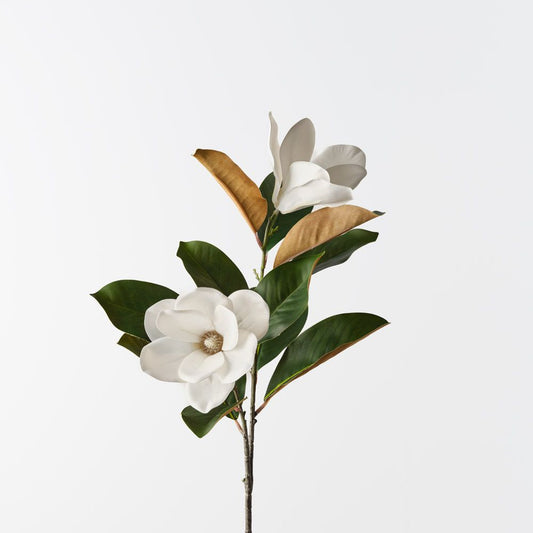 Magnolia Tree Spray