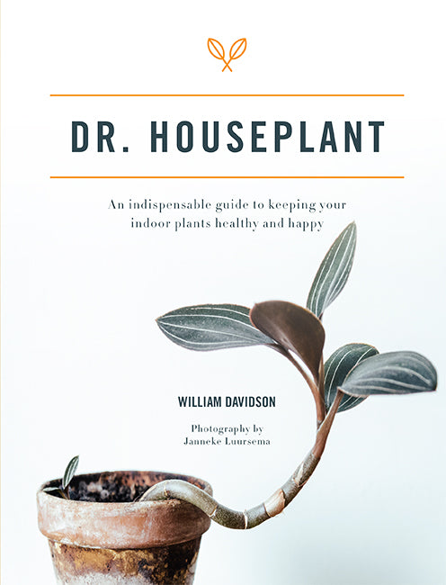 Dr Houseplant by William Davidson