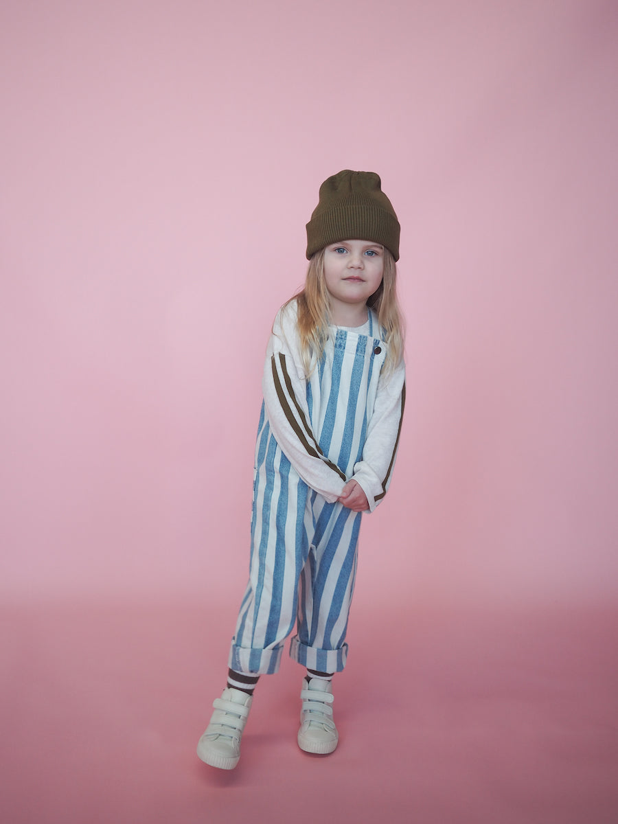 Denim Stripe Overalls