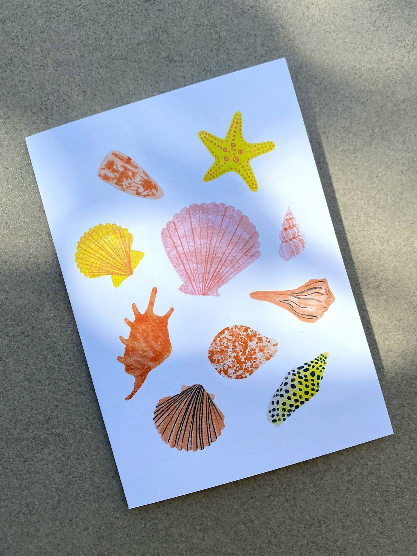 Seashells Greeting Card - Illustrated Shells Card | Beach