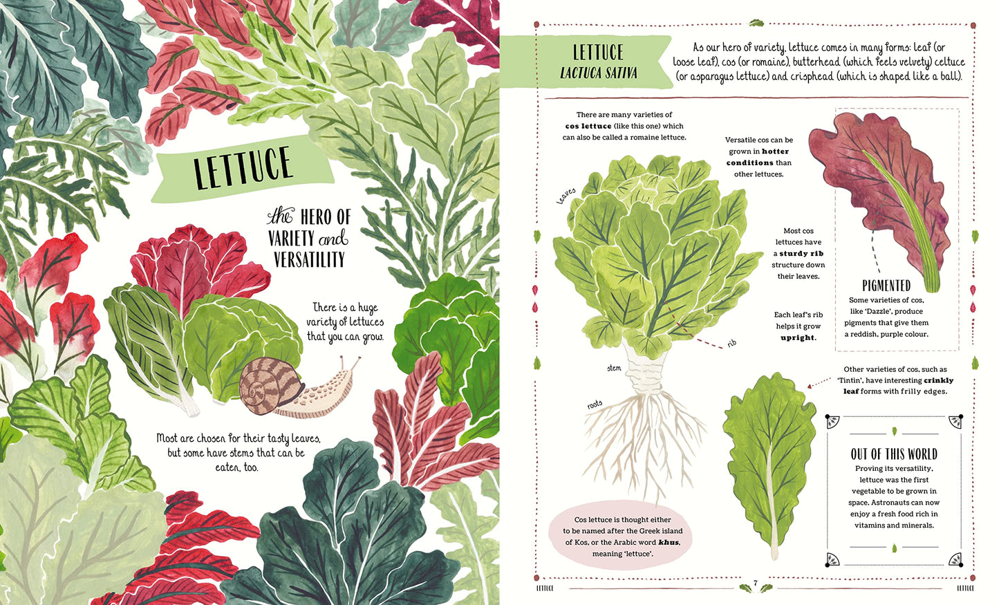 Grow! A Children's Guide To Plants